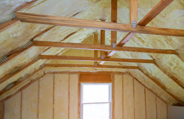 Best Best Insulation Companies  in Zephyrhills, FL