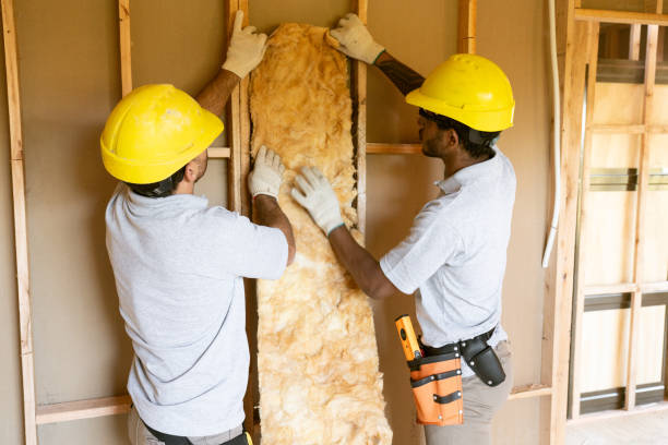 Best Insulation Removal  in Zephyrhills, FL