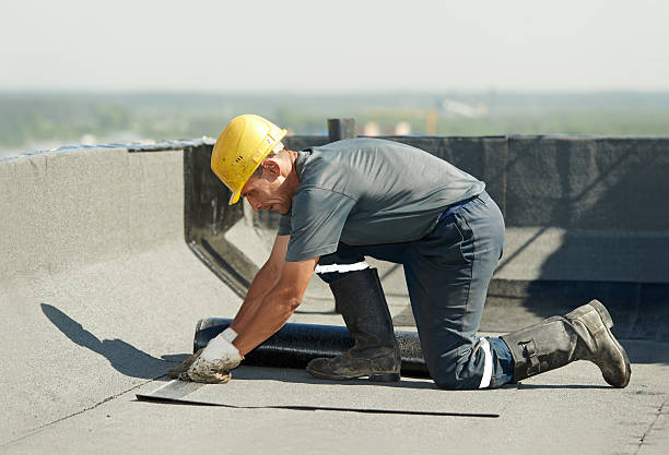 Best Attic Insulation Installation  in Zephyrhills, FL