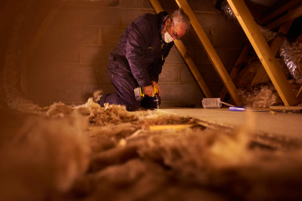 Best Home Insulation Services  in Zephyrhills, FL