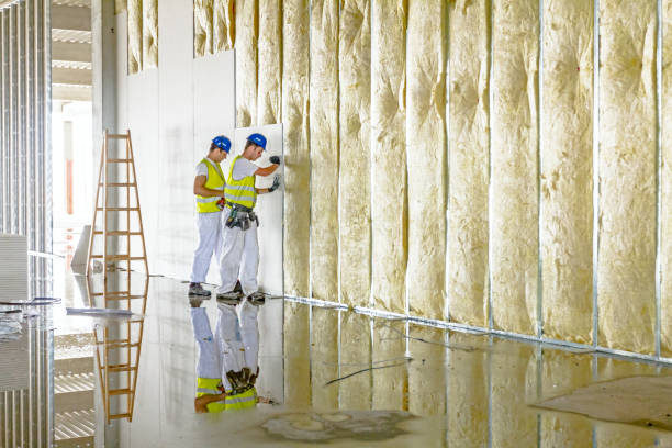 Best Affordable Insulation Services  in Zephyrhills, FL